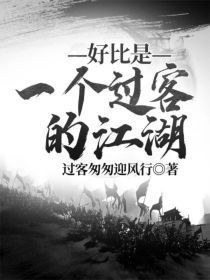 男主女主是王轲,李洪涛,李宇的小说是什么_好比是一个过客的江湖