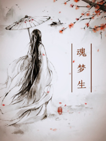 男主女主是江澄,蓝启仁,聂怀桑的小说是什么_陈情令——魂梦生
