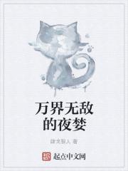 小说《万界无敌的夜婪》TXT下载_万界无敌的夜婪