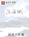 秦天宇林云帆《沧海赋》_沧海赋