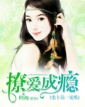 男主女主是顾晟,郑蔓,赵子安的小说是什么_史上第一宠婚:撩爱成瘾