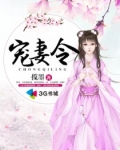 幼宁言明琛《宠妻令》_宠妻令