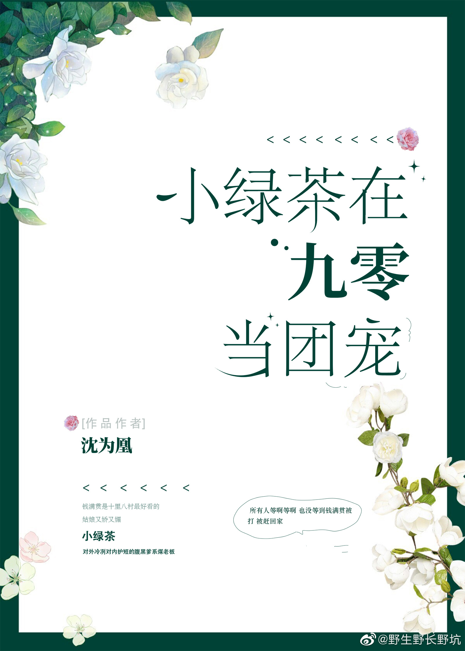 [仙侠魔幻]《小绿茶在九零当团宠》作者：沈为凰【完结】本文文案：钱满贯是十里八村最好看的姑娘，又娇又_小绿茶在九零当团宠