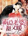 男主女主是靳煜琪,元恺,米宏盛的小说是什么_霸总老婆甜又暖