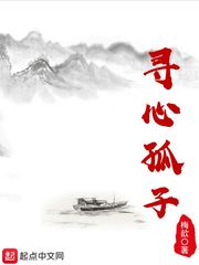 男主女主是郑涛,王严,郑游穹的小说是什么_寻心孤子