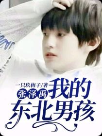小说《张泽禹：我的东北男孩》TXT百度云_张泽禹：我的东北男孩