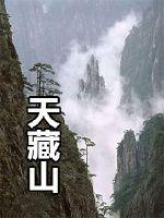 男主女主是罗杰,李汉宁,容雨的小说是什么_天藏山