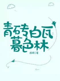 孟鹤堂孙九芳《青砖白瓦暮色林》_青砖白瓦暮色林