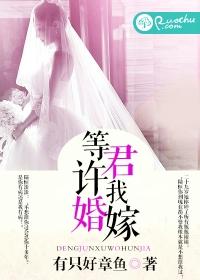 男主女主是郑萌萌,陆恒,张虎的小说是什么_等君许我婚嫁