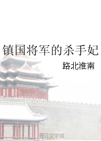 将军杀手的小说_镇国将军的杀手妃