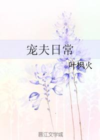 男主女主是埃尔加,伊文,艾德里的小说是什么_宠夫日常