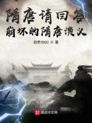 隋唐请回答：崩坏的隋唐演义_隋唐请回答：崩坏的隋唐演义