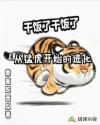 小说《从猛虎开始的进化》TXT百度云_从猛虎开始的进化