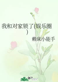 小说《我和对家锁了(娱乐圈)》TXT百度云_我和对家锁了(娱乐圈)