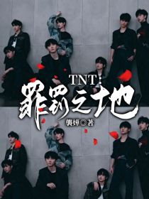 小说《TNT：罪罚之地》TXT百度云_TNT：罪罚之地