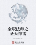 全职法师之天圣天神雷txt_全职法师之圣天神雷