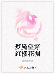 小说《梦魇望穿红楼花凋》TXT百度云_梦魇望穿红楼花凋