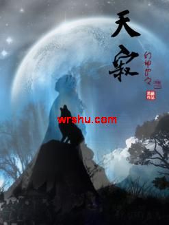 幻神劫 天寂番外_幻神劫-天寂