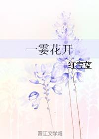 男主女主是陆佳宁,徐翔,费南的小说是什么_一霎花开