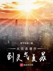 从信息爆炸到灵气复免费阅读_从信息爆炸到灵气复苏