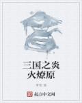 三国烽火燎原小说_三国之炎火燎原