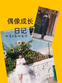男主女主是赖美云,刘宇,何洛洛的小说是什么_偶像成长日记