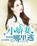 男主女主是宋小雅,姜北辰,乔润哲的小说是什么_一宠成瘾：小娇妻，哪里逃
