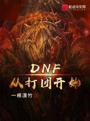 小说《DNF从打团开始》TXT百度云_DNF从打团开始