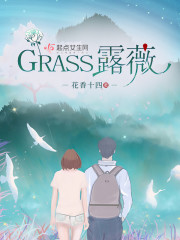 露薇熊童《GRASS露薇》_GRASS露薇