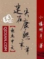 [小说]迷失在康熙末年 作者：小楼明月  作品相关  同人资料：“太阳王”路易十四和他的王朝 路易十四时代的_迷失在康熙末年