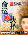男主女主是孙露,杨绍清,郑芝龙的小说是什么_命运的抉择