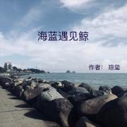 作者 蓝海长鲸_海蓝遇见鲸