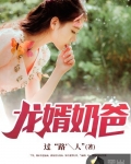 男主女主是林枫,陈伊洛,涵涵的小说是什么_龙婿奶爸