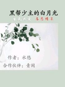 男主女主是诗芸,刘铮,朱辉的小说是什么_帮派少主的白月光