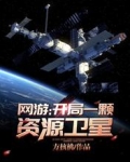 男主女主是陈风,紫竹,胡浩的小说是什么_网游：开局一颗资源卫星