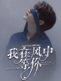 小说《刘耀文：我在风中等你》TXT百度云_刘耀文：我在风中等你