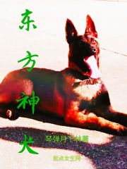 男主女主是林枫,楚江,夏舒影的小说是什么_东方神犬