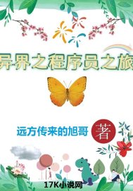 男主女主是薛康,刘震,上官的小说是什么_异界之程序员之旅