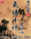 男主女主是刘辉,王璐,张浩杰的小说是什么_武侠小说大宗师