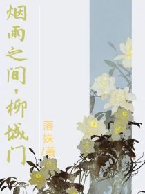男主女主是苏瑾,赵蓉,蓉儿的小说是什么_烟雨之间，柳城门
