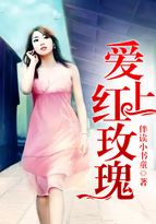 男主女主是小丽,李婉玉,陈浩的小说是什么_爱上红玫瑰