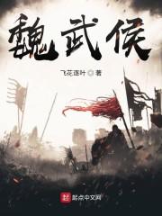 魏武侯txt下载校对版_魏武侯