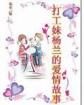 小说《打工妹杨兰的爱情故事》TXT下载_打工妹杨兰的爱情故事