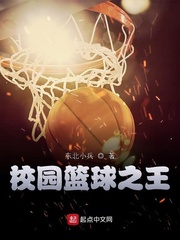 小说《校园篮球之王》TXT下载_校园篮球之王