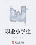男主女主是赵云龙,夏山海,王美丽的小说是什么_职业小学生