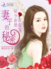 男主女主是陆钦晟,凌夏,方苏雅的小说是什么_陆少新婚甜甜宠：妻子的秘密