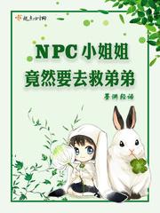 男主女主是君岚,艾宁,顾瑾的小说是什么_NPC小姐姐竟然要去救弟弟