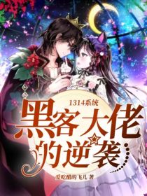 小说《1314系统：黑客大佬的逆袭！》TXT下载_1314系统：黑客大佬的逆袭！