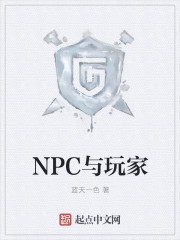 快穿npc与玩家_NPC与玩家