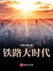 铁路大时代正版小说_铁路大时代